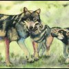 phoca thumb m wolf with pups 1 painting by artist dj geribo
